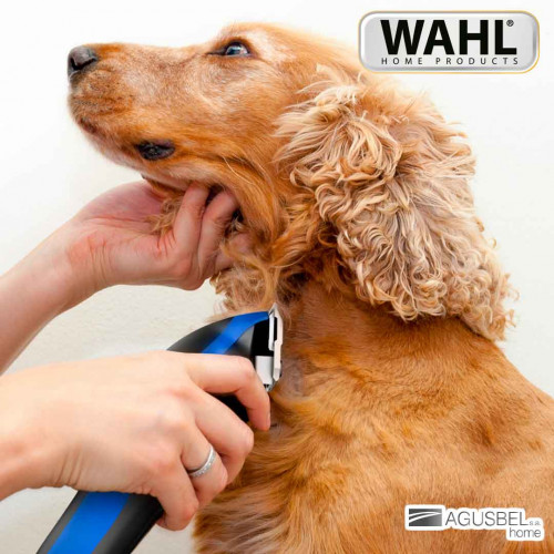 Cortadora para mascotas wahl u clip dog